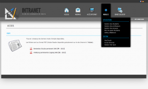intranet